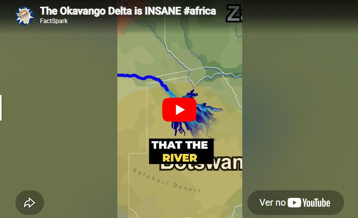 Sample Video